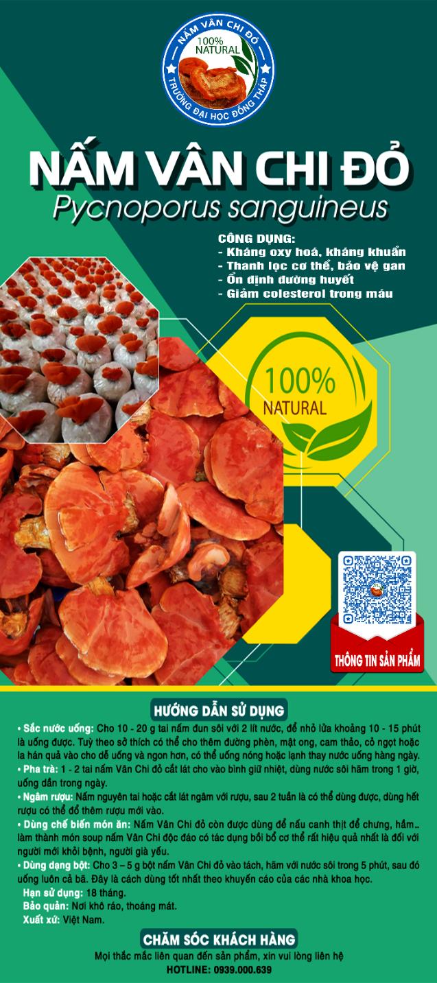 Chi tiết hơn 71 về mô hình trồng nấm vân chi hay nhất  Tin học Đông Hòa