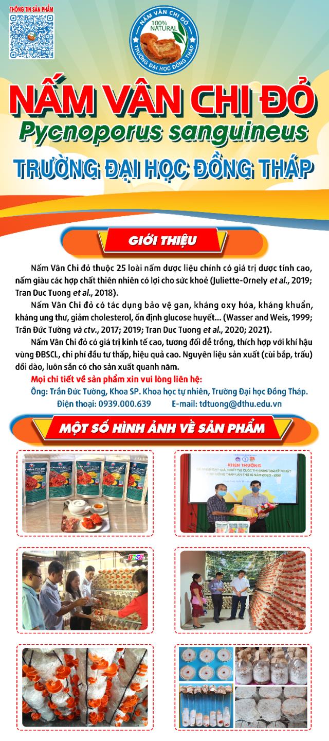 Nông dân vùng sâu đổi đời nhờ trồng nấm bào ngư