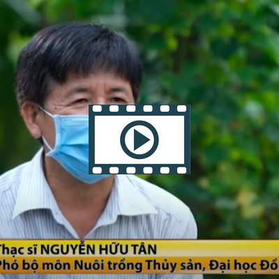 Đỡ đẻ cho cá linh | VTV4