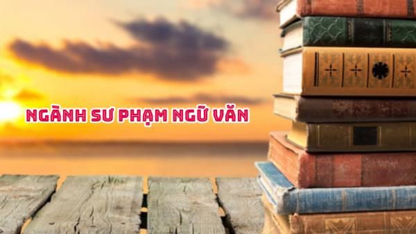 Sư phạm Ngữ Văn