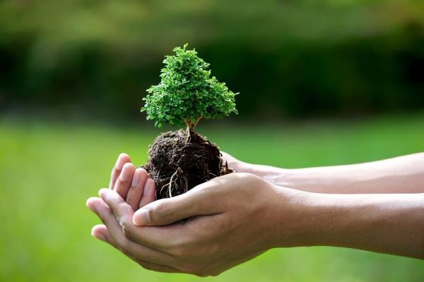 Đề án mở ngành Quản lý tài nguyên và môi trường